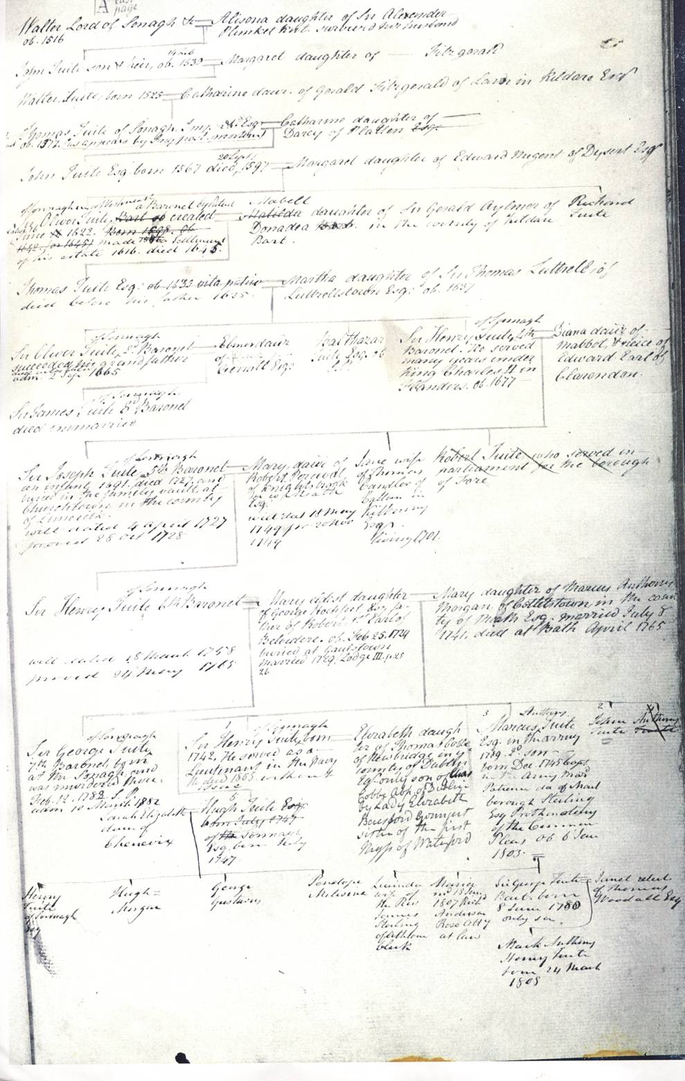 TuiteFamilyTree1.tif