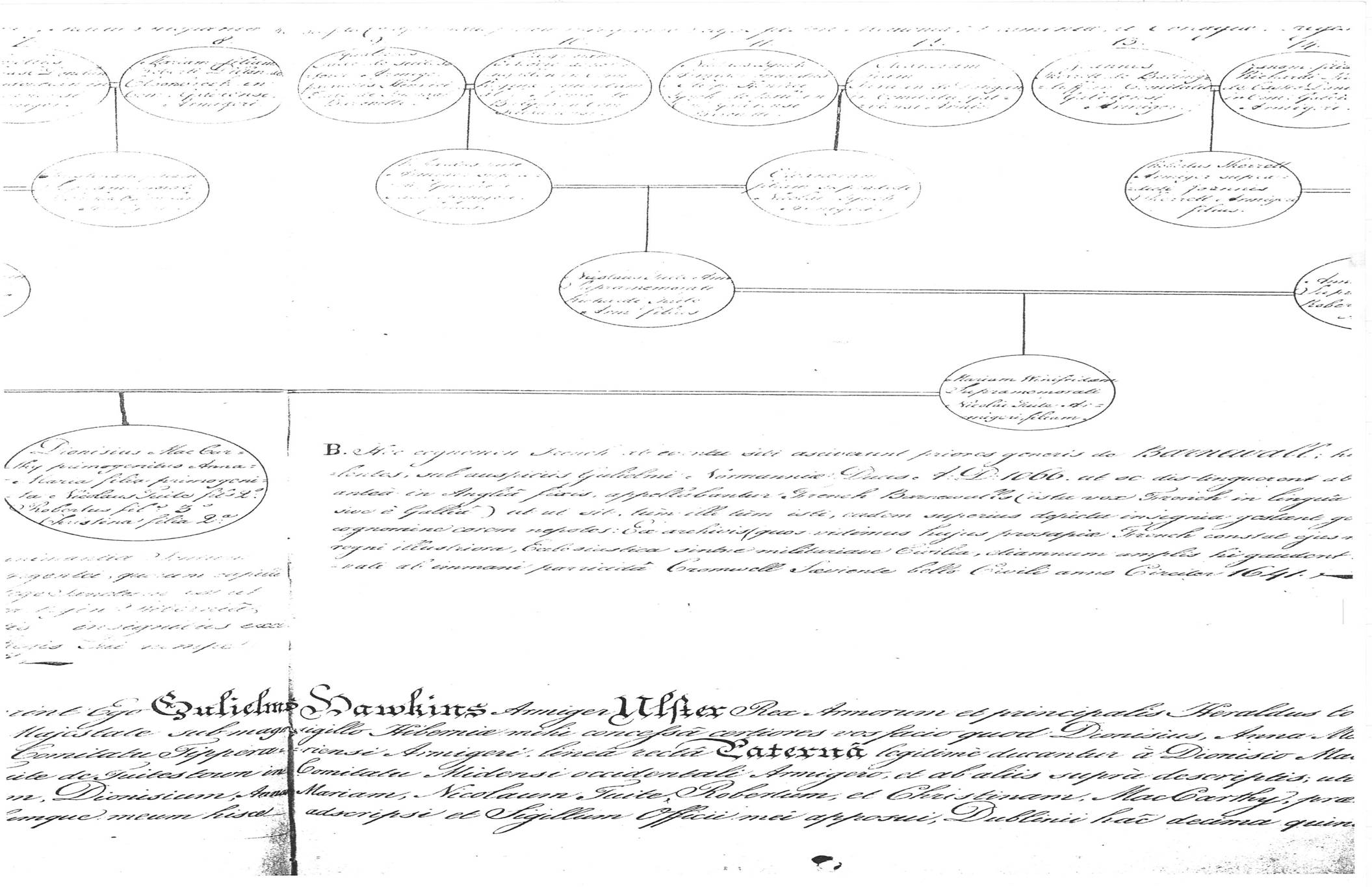 FrenchFamilyTree2.jpg