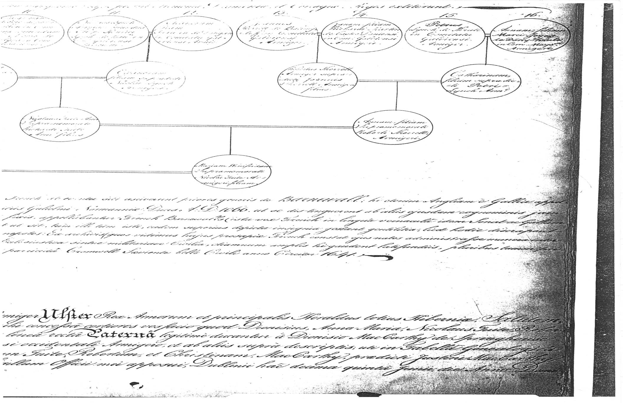 FrenchFamilyTree3.jpg
